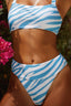 Zebra Print || Bikini Bottoms || Blue ||